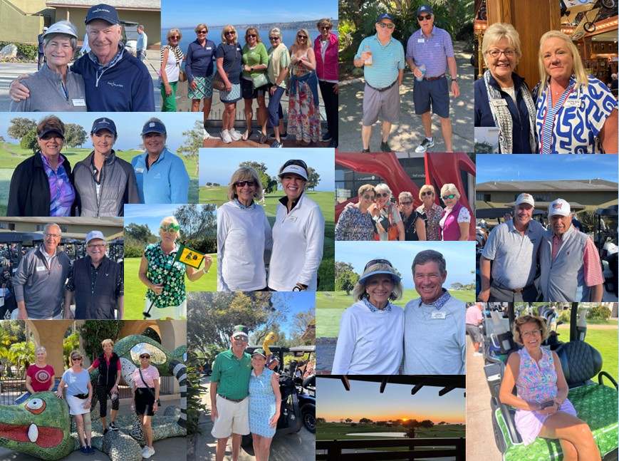 2026 03 22 Collage Torrey